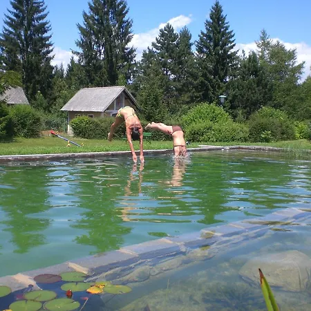 Der Thomashof 3* ザンクト・ヤーコプ・イム・ローゼンタール